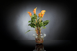 ETERNITY ALFEO CALLA TRIS среднее цветочное украшение, VGnewtrend
