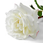 Искусственное растение Roses Eichholtz 119293 — фото 5