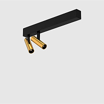 holon 20 directional, surface mounted, double, brushed gold