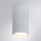 A5557PL-1WH Arte Lamp Fang точечный накладной светильник GU10 1х35W — фото 1