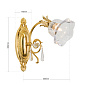 WA 2-1174/1 gold/479 Schliff La Boheme Orion настенное бра с цветочным стеклом — фото 5