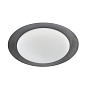 8276 Linea Light Crew 1 AP PL LED M современный потолочный и настенный светильник белый; антрацит — фото 1