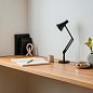 Настольная лампа 90 Mini Mini Anglepoise, чёрная 32833 — фото 4