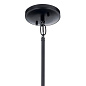 Cassadee 16" 4 Light Convertible Pendant/Semi Flush Black подвесной светильник 52119BK Kichler — фото 4