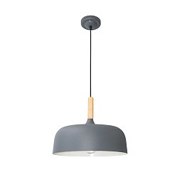 A7102SP-1GY Arte Lamp KAYLA подвесной светильник