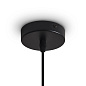 Подвесной светильник Topi Freya FR5503PL-01B1 — фото 3