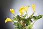 ETERNITY ALFEO CALLA TRIS среднее цветочное украшение, VGnewtrend — фото 5