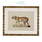 111745 Prints EC262 Lion, Tigre, Jaguar set of 6  Eichholtz