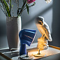 FN200001_61 Foscarini Binic TL настольный светильник розовый — фото 5
