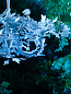 Люстра Ivy Shadow Large with Flute Porta Romana MCL37L — фото 5