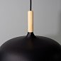Подвесной светильник Arte Lamp KAYLA A7099SP-1BK — фото 2