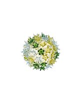 Bloom CW2, мятный