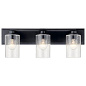 Amity 23 Inch 3 Light Vanity Light with Clear Seeded Glass Black настенный светильник 37489 Kichler — фото 3