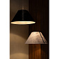 Подвесной светильник Arte Lamp FLEECE A7092SP-1BK — фото 5