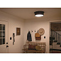 Serca 18" 3 Light Flush Mount Black потолочный светильник 52541BK Kichler — фото 4