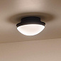 Bretta 13.5" 2 Light Flush Mount Black  потолочный светильник 52544BK Kichler — фото 2