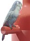 Фарфоровая ваза с тремя попугаями Parrot Parade Lladro, коралловая 01007846 — фото 3