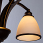 A9518LM-8BA Arte Lamp Bonito подвесная люстра E27 8х40W 450Lm — фото 2