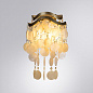A4065AP-2SG Arte Lamp Pipirima настенный светильник E14 2х40W — фото 1