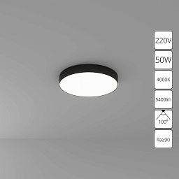 A6650PL-1BK Arte Lamp FADO потолочный светильник с матовым корпусом