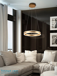 831940 Schuller Helia люстра с кольцевой LED-подвесной рамой на тонких тросах