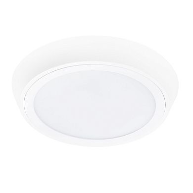 Накладной светильник Lightstar Urbano круглый IP65 20Вт