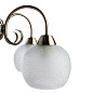 Подвесная люстра Arte Lamp MARGO A9316LM-5AB — фото 2