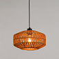 A7087SP-1BK Arte Lamp BRUSHWOOD подвесной светильник 60W — фото 1