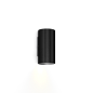 RAY mini 1.0 Wever Ducre накладной светильник черный
