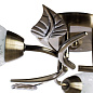 Потолочная люстра Arte Lamp ANETTA A6157PL-3AB — фото 3