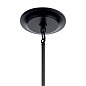 Krysia 9 Light Chandelier Black люстра 52011BK Kichler — фото 4