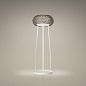FN311013ML_25 Foscarini Caboche plus grande PT торшер с регулировкой яркости серый — фото 2
