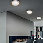 8281 Linea Light Crew 1 AP PL LED L современный потолочный и настенный светильник белый; антрацит — фото 2